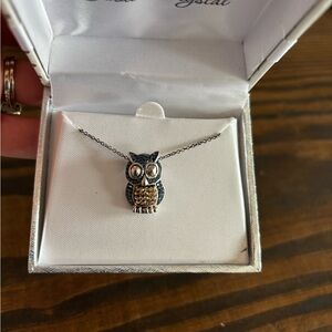 Kohl's Silver and Gold Owl Necklace